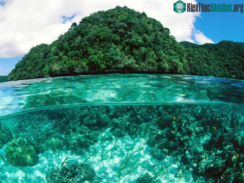 Quần đảo Rock, Palau