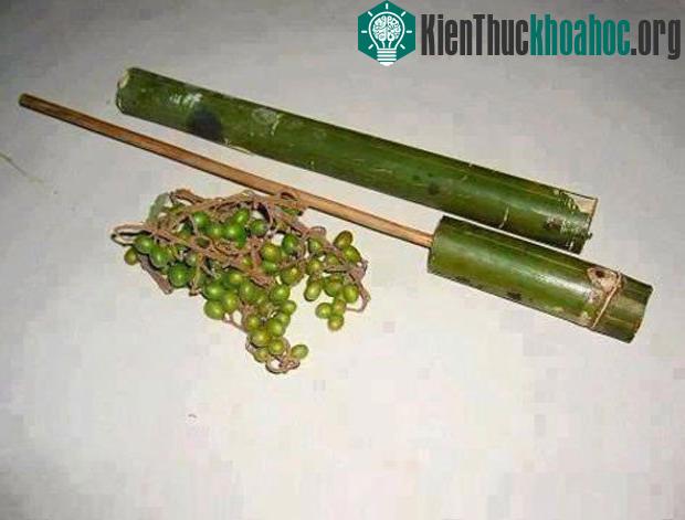 Trò chơi ống thụt cò ke được con trai rất yêu thích nhưng lại là nỗi kinh hãi của con gái một thời.