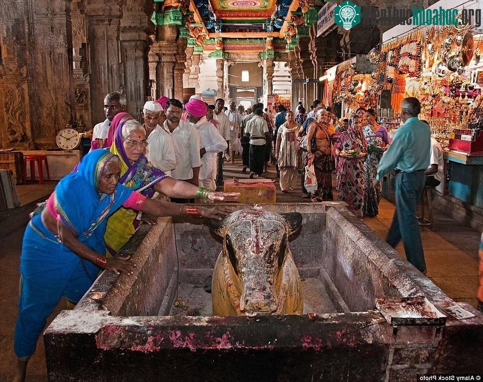 Trong đền Sri Meenakshi Amman có tượng bò thiêng, dâng cho nữ thần Parvati.
