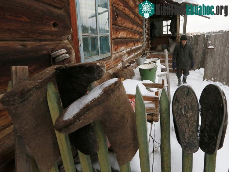 Nhiệt độ trung bình ở Siberia là khoảng -5 độ C.