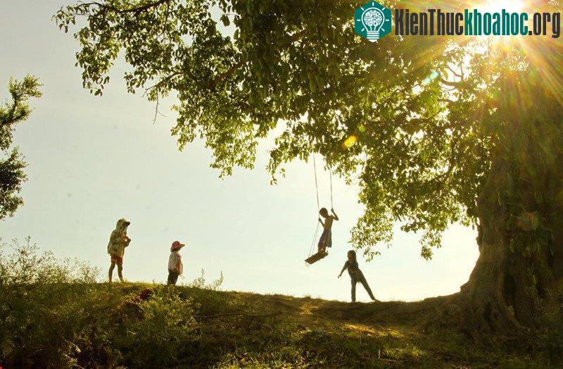 Trở về tuổi thơ với bộ ảnh "Trẻ mục đồng xứ Nghệ" ảnh 14