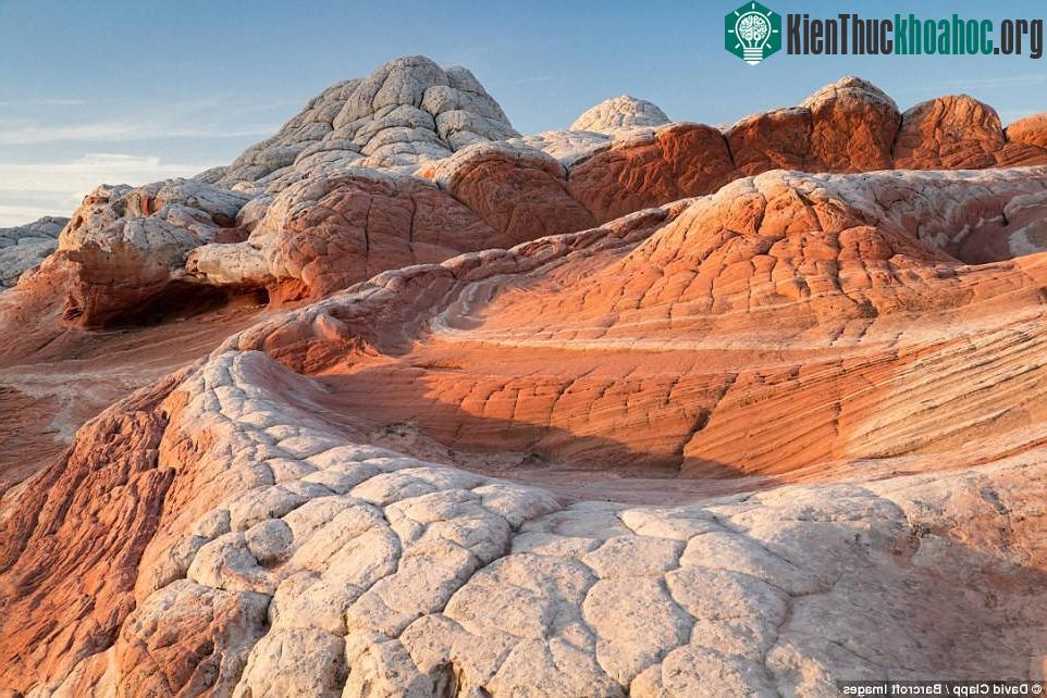 Khung cảnh White Pocket, Arizona, trong ánh bình minh, với sự tương phản mạnh mẽ giữa hai màu trắng và đỏ.