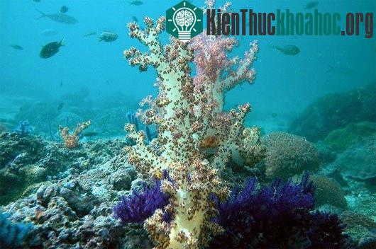 Sự thay đổi khủng khiếp của Trái đất do biến đổi khí hậu- ảnh 15