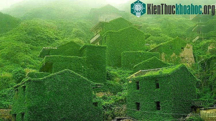 Làng chài hoang vắng trên sông Dương Tử, Trung Quốc.