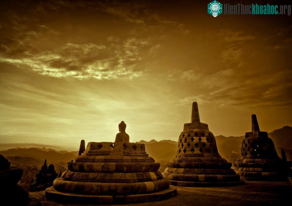 Khi đó Borobudur đã đổ nát nhiều và nằm dưới một vùng cây cối um tùm.