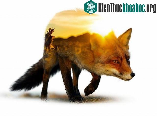 Chiêm ngưỡng những bức ảnh phơi sáng kép đẹp đến ngỡ ngàng ảnh 15