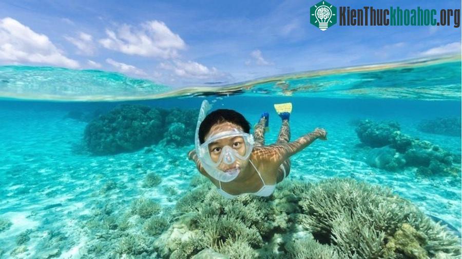 Du khách có thể bơi lặn trong làn nước trong vắt ở đây, hay khám phá các khu rừng mưa và leo núi. (Ảnh: Boredbug).