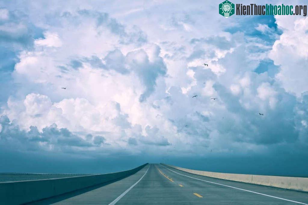 Con đường dài bất tận nhưng lại không hề cô độc bởi sự xuất hiện của những chú chim đang "nghiêng" mình trên bầu trời cao.