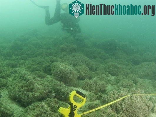 Sự thay đổi khủng khiếp của Trái đất do biến đổi khí hậu- ảnh 16