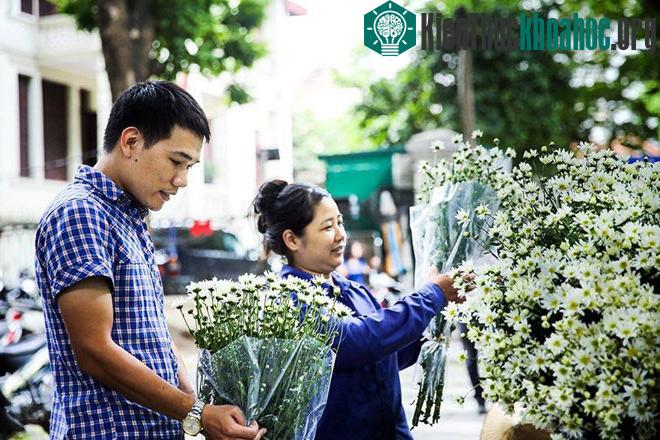 Cúc họa mi báo hiệu mùa đông trên phố Hà Nội