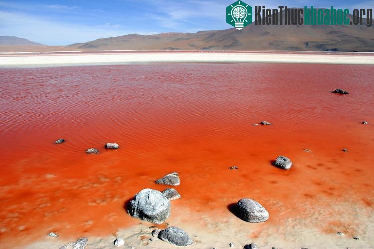 Laguna Colorana