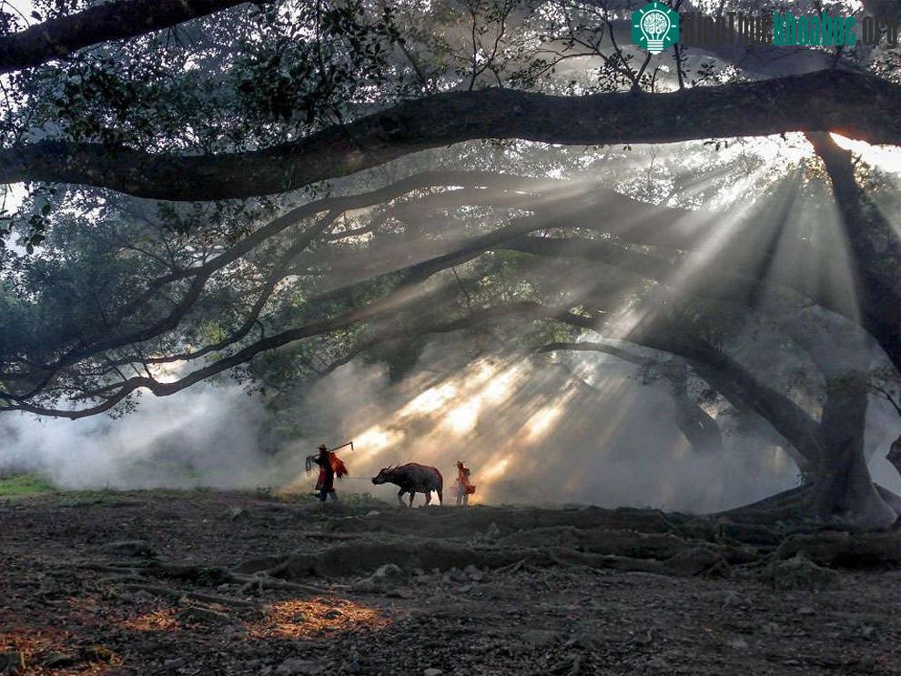 Giải nhất ảnh về du lịch