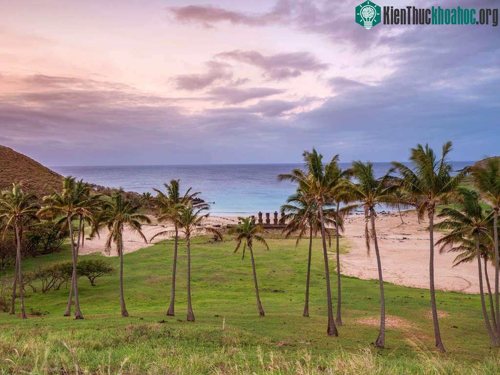 Các tượng đá Moai nhìn ra bãi biển Anakena hùng vĩ trên đảo Phục Sinh, Chile. Bãi biển này có những hàng dừa xanh tươi và nước ấm cho du khách thỏa th...