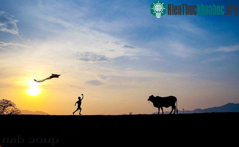 Những ngày thả diều trên triền đê lộng gió