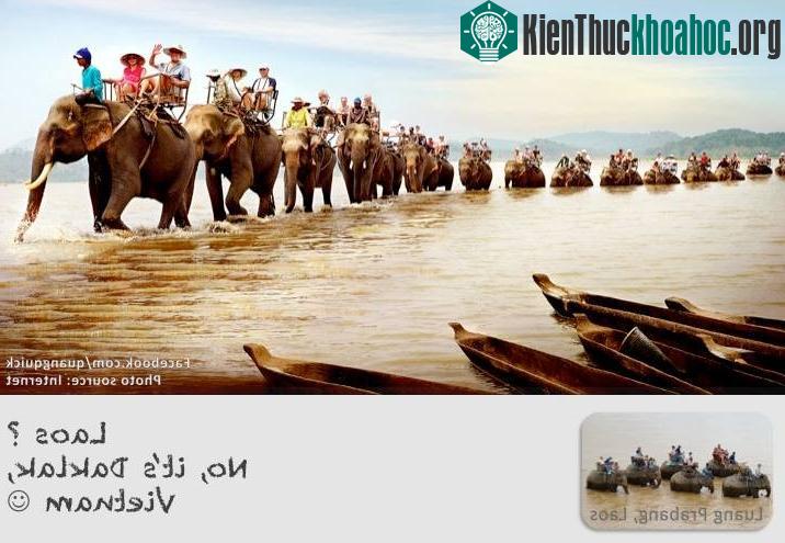 Không cần đến Lào, chỉ cần đến Daklak bạn cũng đã được thử cảm giác cưỡi voi.