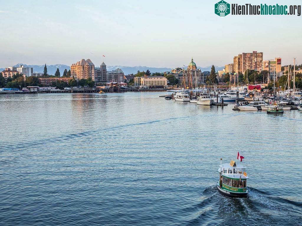Victoria, British Columbia, Canada: Điểm đến đẹp như trong bưu thiếp này chỉ cách Seattle 3 tiếng đi xe, với thành phố bình yên, những hồ nước và dãy ...