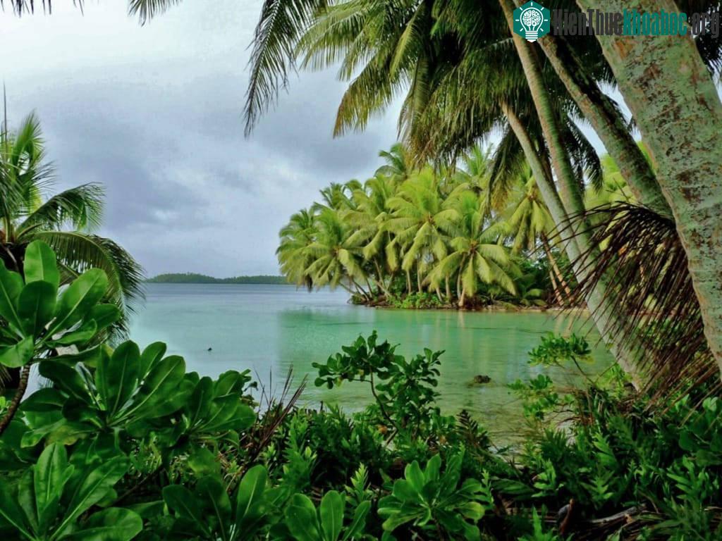 Đảo Palmyra Atoll