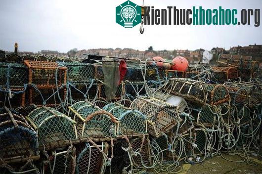 Sự thay đổi khủng khiếp của Trái đất do biến đổi khí hậu- ảnh 18