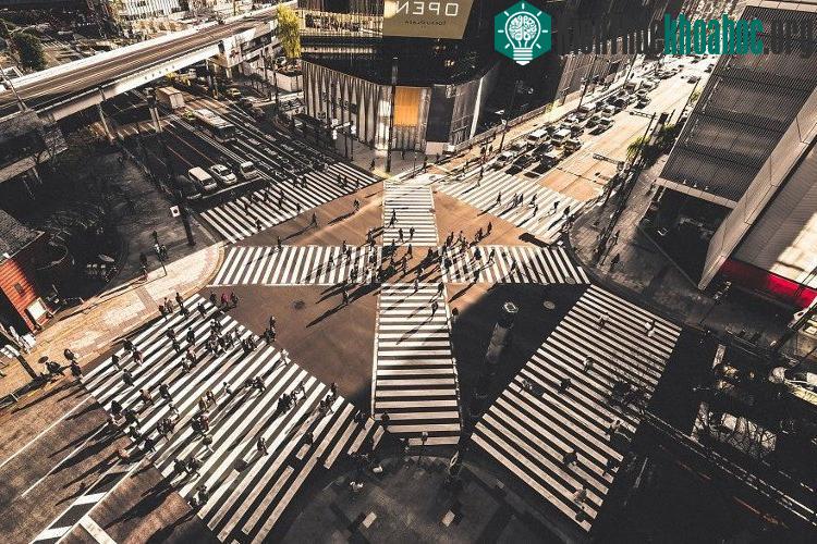 Ngã tư Shibuya nổi tiếng ở Tokyo.