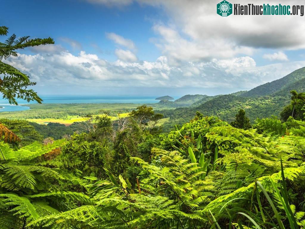 Hệ sinh thái đa dạng kết hợp với những thị trấn nhộn nhịp khiến đây là điểm đến không giống bất cứ nơi nào trên thế giới.