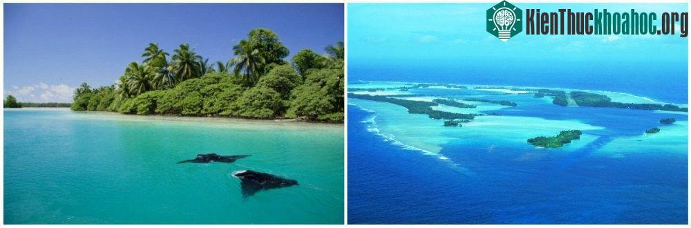 Đảo này nằm ở vùng xích đạo Thái Bình Dương, phía nam của Hawaii