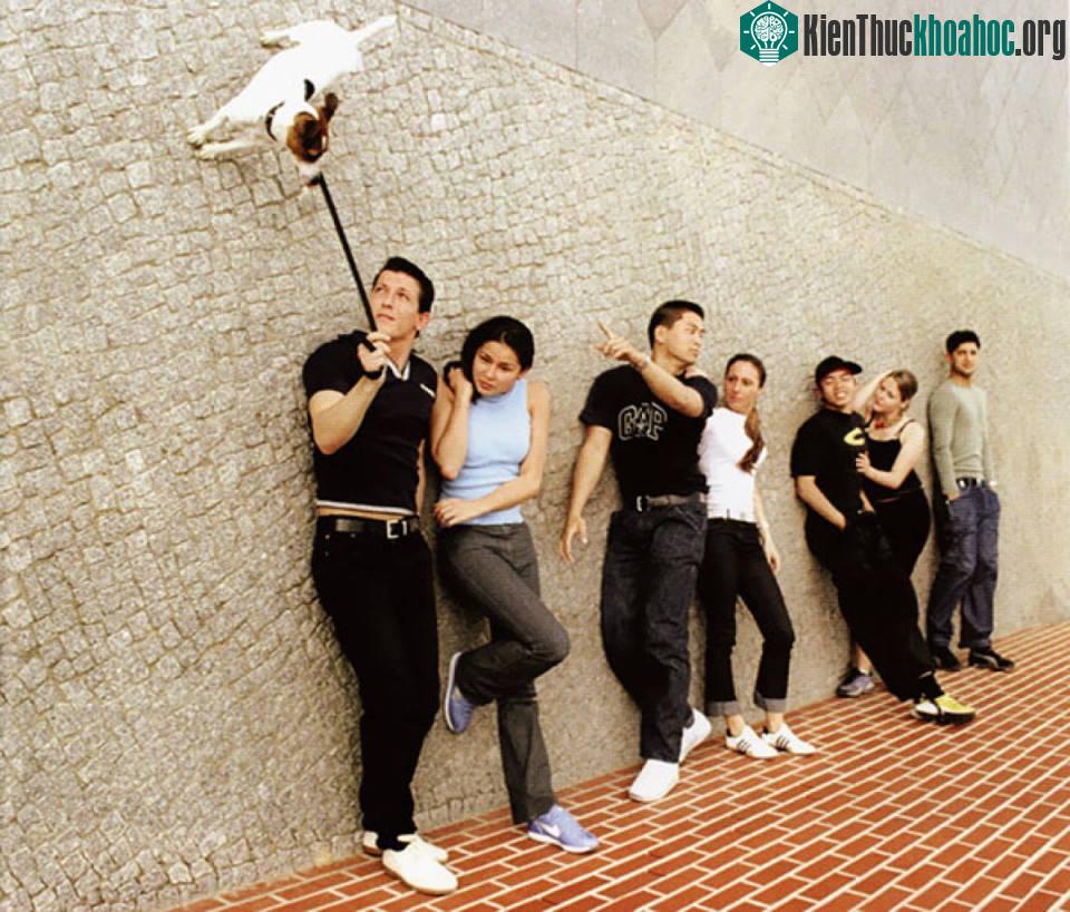 Nhóm bạn này setup khéo tới nỗi người ta tưởng chú chó biết leo tường hoặc biết bay