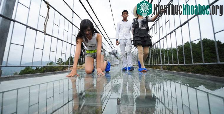 Cầu đáy kính dài nhất thế giới nằm ở độ cao 300 m tại công viên quốc gia Trương Gia Giới, Hồ Nam, Trung Quốc.
