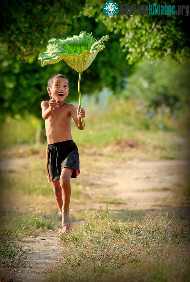 Chân sáo trên đường làng