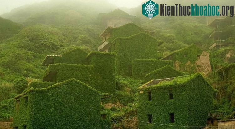 Ngôi làng chài ở Trung Quốc.