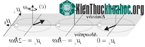 Ứng dụng Electron Spin để tạo Maser ảnh 2