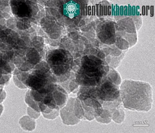 Độc tính trong hai loại vật liệu nano phổ thông ảnh 2