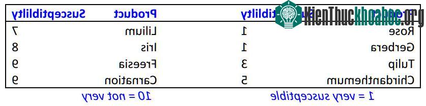 Phương pháp bảo quản hoa tươi lâu sau thu hoạch ảnh 2