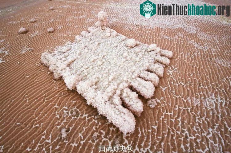 Sững sờ với vẻ đẹp ấn tượng của "sa mạc hồng" ở Trung Quốc ảnh 2