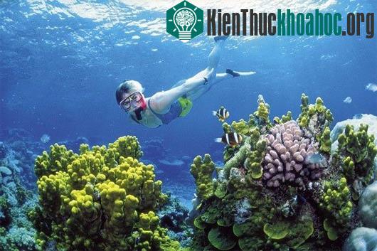 Sự thay đổi khủng khiếp của Trái đất do biến đổi khí hậu- ảnh 3