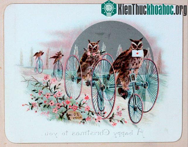 Bạn có muốn nhận thông điệp Giáng sinh đến từ những chú cú mèo của bóng đêm?