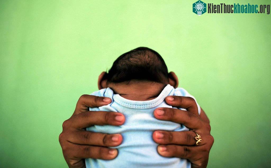 Đầu năm 2016, virus zika gieo rắc nỗi sợ hãi với người dân toàn thế giới, đặc biệt là ở Brazil.