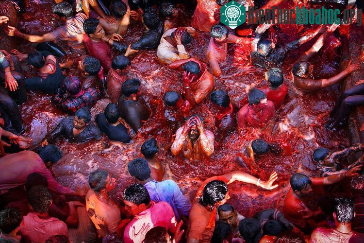 Đây được coi là lễ hội màu sắc của người Hindu