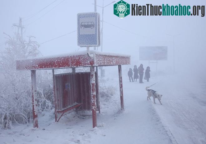 Ghé thăm ngôi làng lạnh -71 độ C