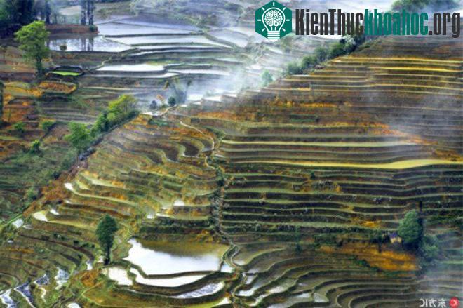 Người dân thờ thần mặt trời, mặt trăng, núi, sông, rừng và các hiện tượng tự nhiên khác.