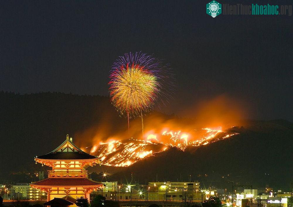 Ban đầu Wakakusa được bao phủ bởi cỏ lau, hai bên sườn núi trồng hoa anh đào nở rộ vào đầu tháng 4. Tuy nhiên, khi mùa đông đến, cỏ úa vàng và anh đào rụng lá, ngọn núi trở nên trơ trọi, u ám. Đây ...