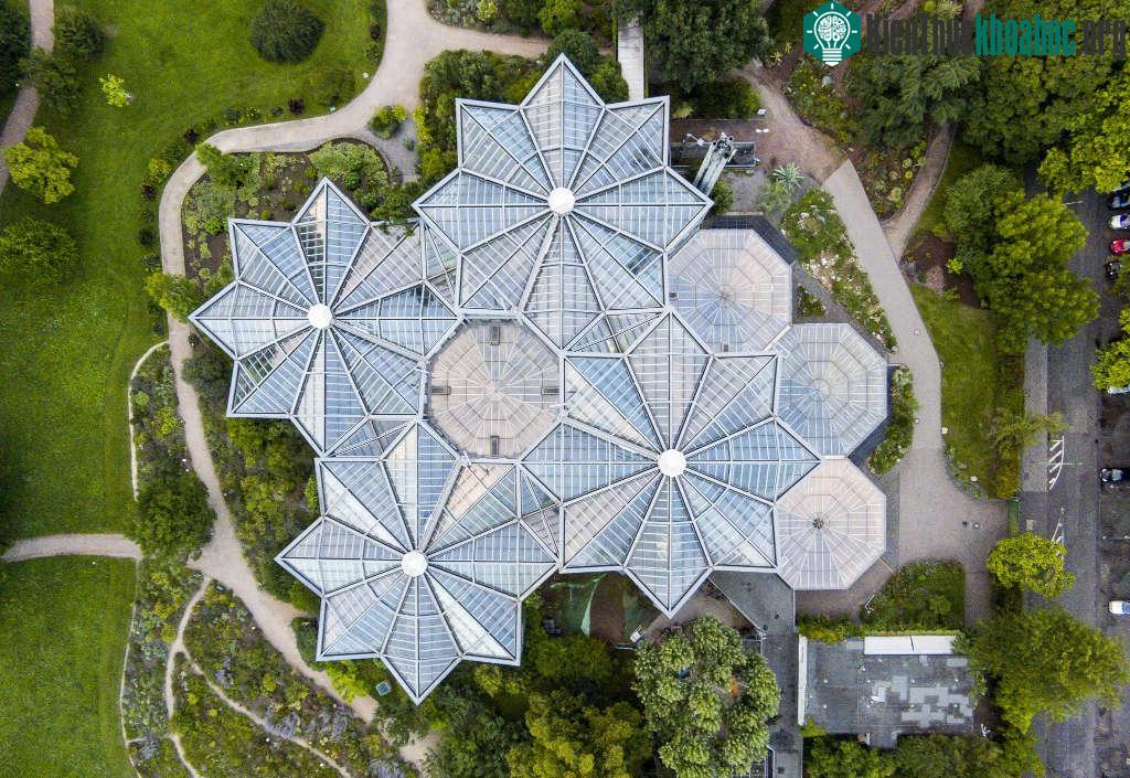 Palm Garden ở thành phố Frankfurt, bang Hessen của Đức. Nơi đây được ví như thế giới cỏ cây bởi trồng vô số loài cây khác nhau, thu hút nhiều du khách tới tham quan.