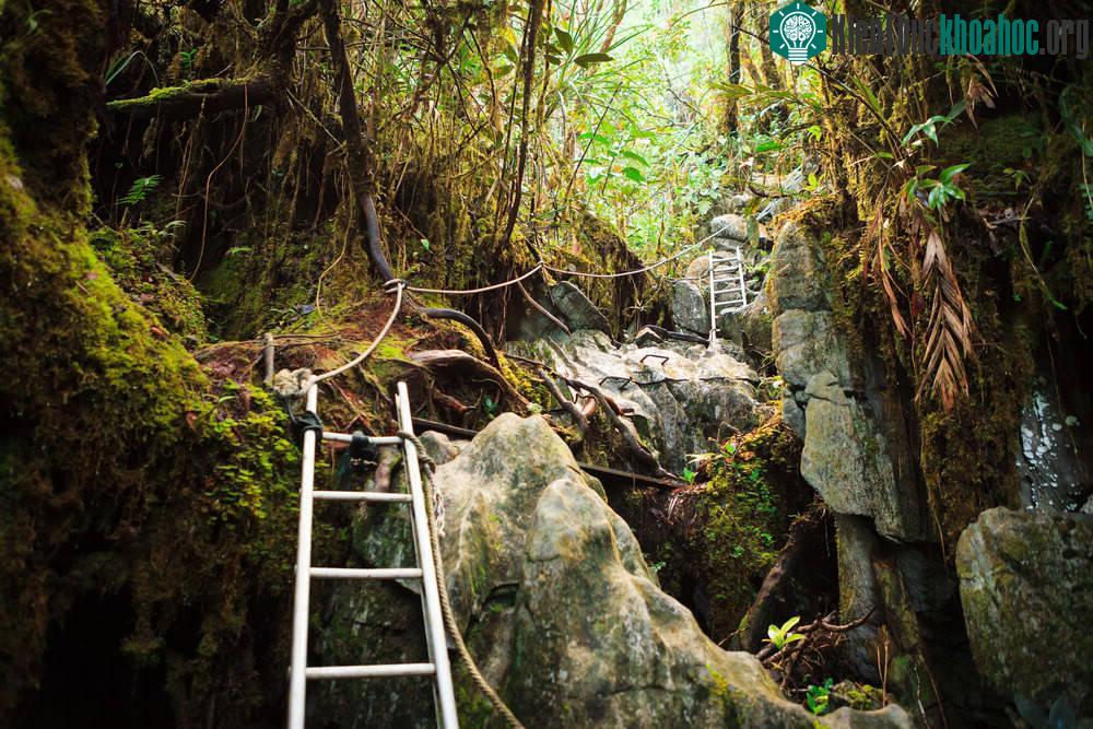 Gunung Mulu