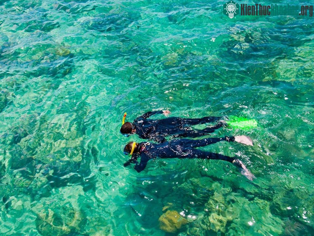 Một trong những điều khiến Great Barrier được US News và World Report bình chọn là điểm đến số 1 thế giới là danh sách hoạt động dài vô tận dành cho du khách tại khu vực này.