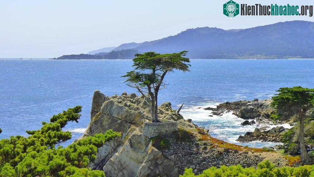 Đường 17-Mile, California