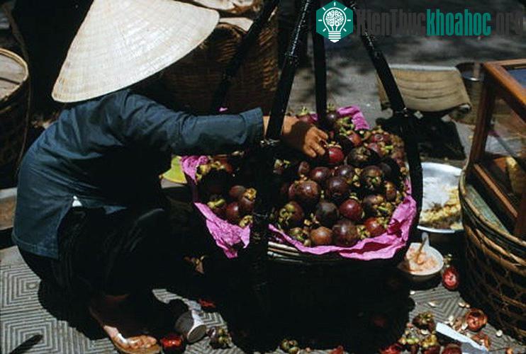 Quầy măng cụt ăn ngay tại chỗ.