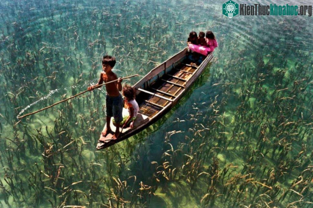 Hồ nước trong vắt ở Sabah, Malaysia