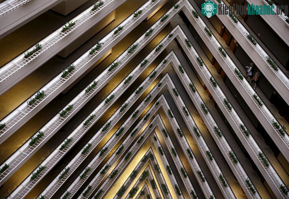 Singapore: Ảnh chụp khách sạn Pan Pacific tại Singapore ngày 21-2