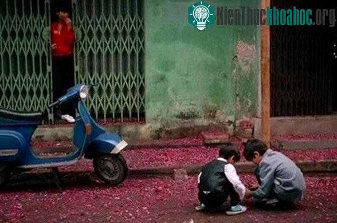Hoài niệm ngày Tết thời bao cấp