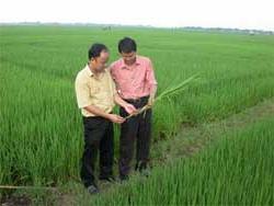 Sản xuất, ứng dụng thành công vật liệu zeolite ở VN ảnh 3