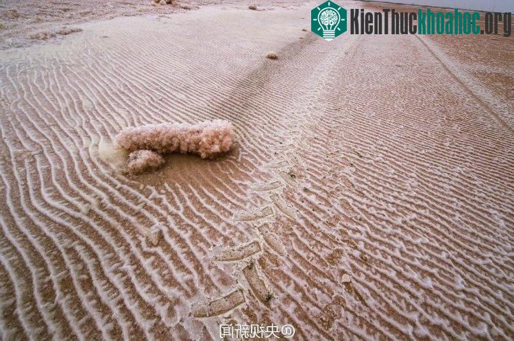 Sững sờ với vẻ đẹp ấn tượng của "sa mạc hồng" ở Trung Quốc ảnh 3